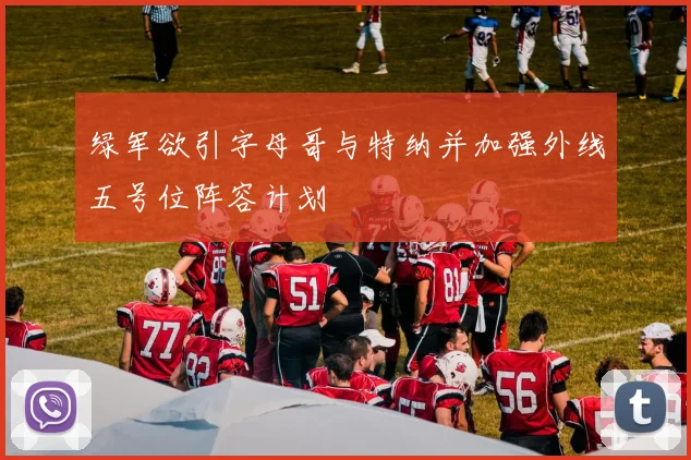 绿军欲引字母哥与特纳并加强外线五号位阵容计划